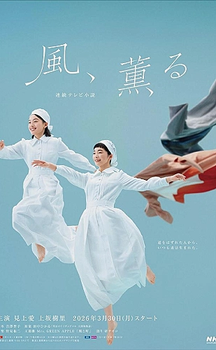 太阳的后裔